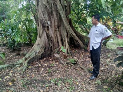 Sejarah Desa Arjowinangun Kecamatan Buluspesantren